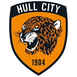 Hull City merki